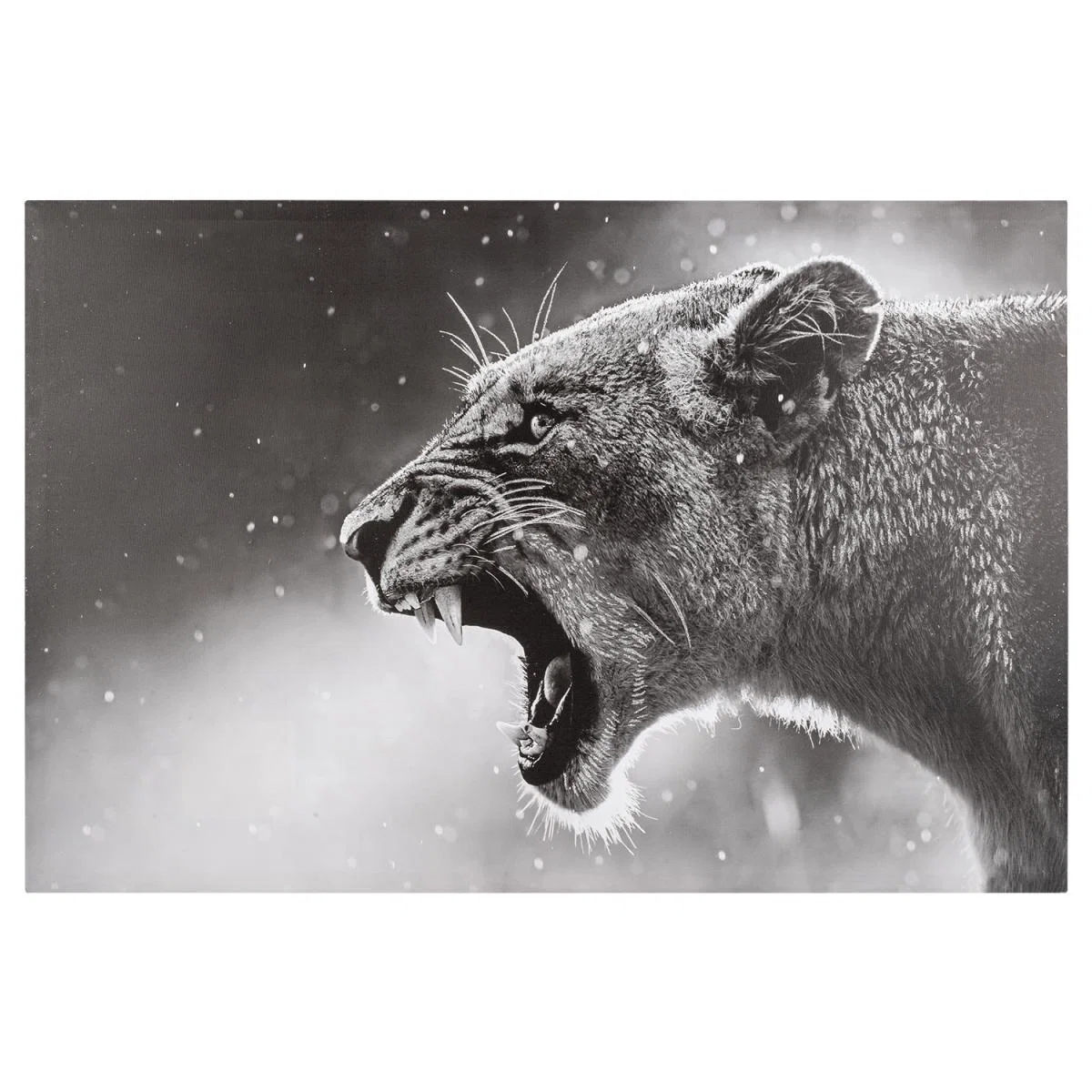 Hear My Roar Canvas – image 2