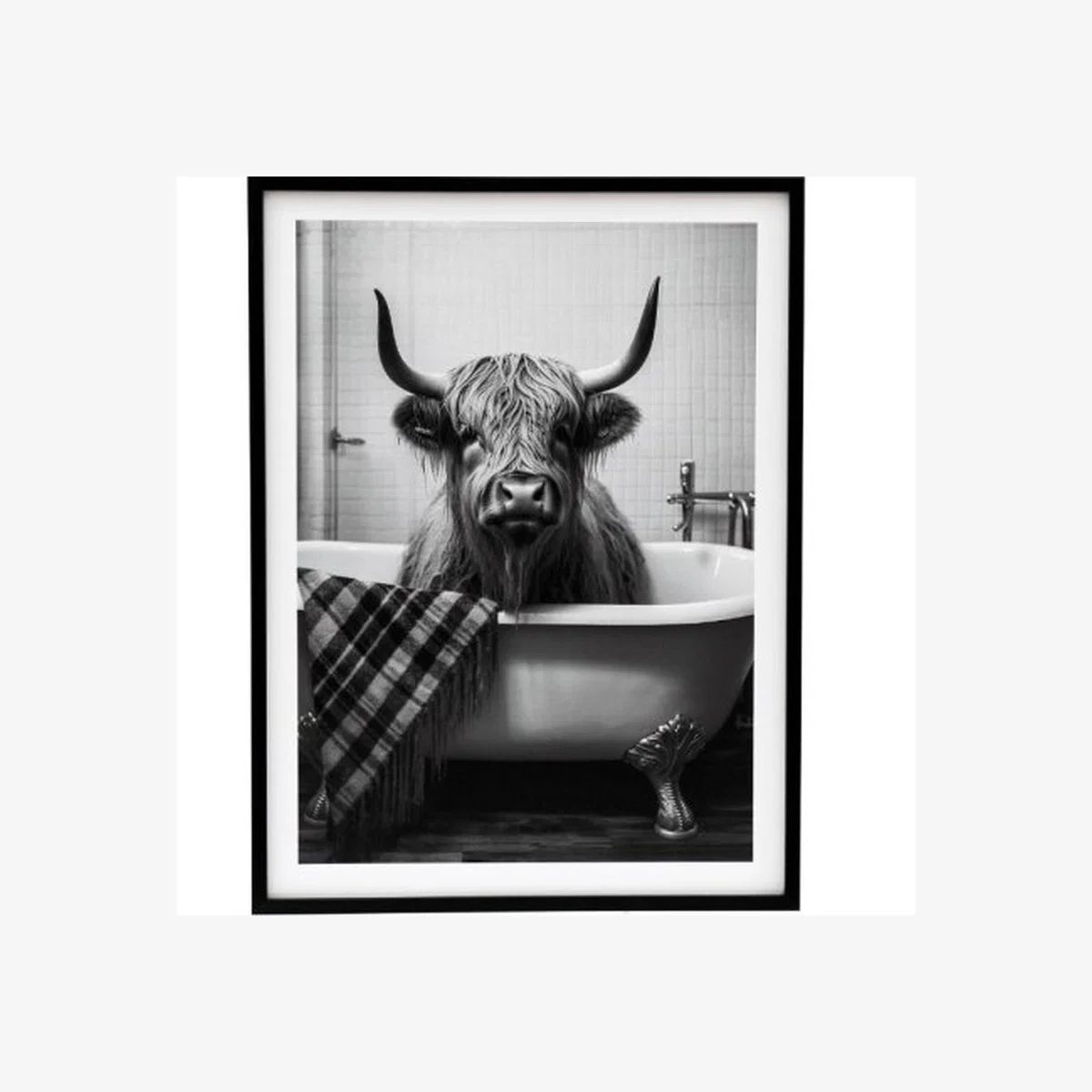 Framed Cow Bath Canvas - White