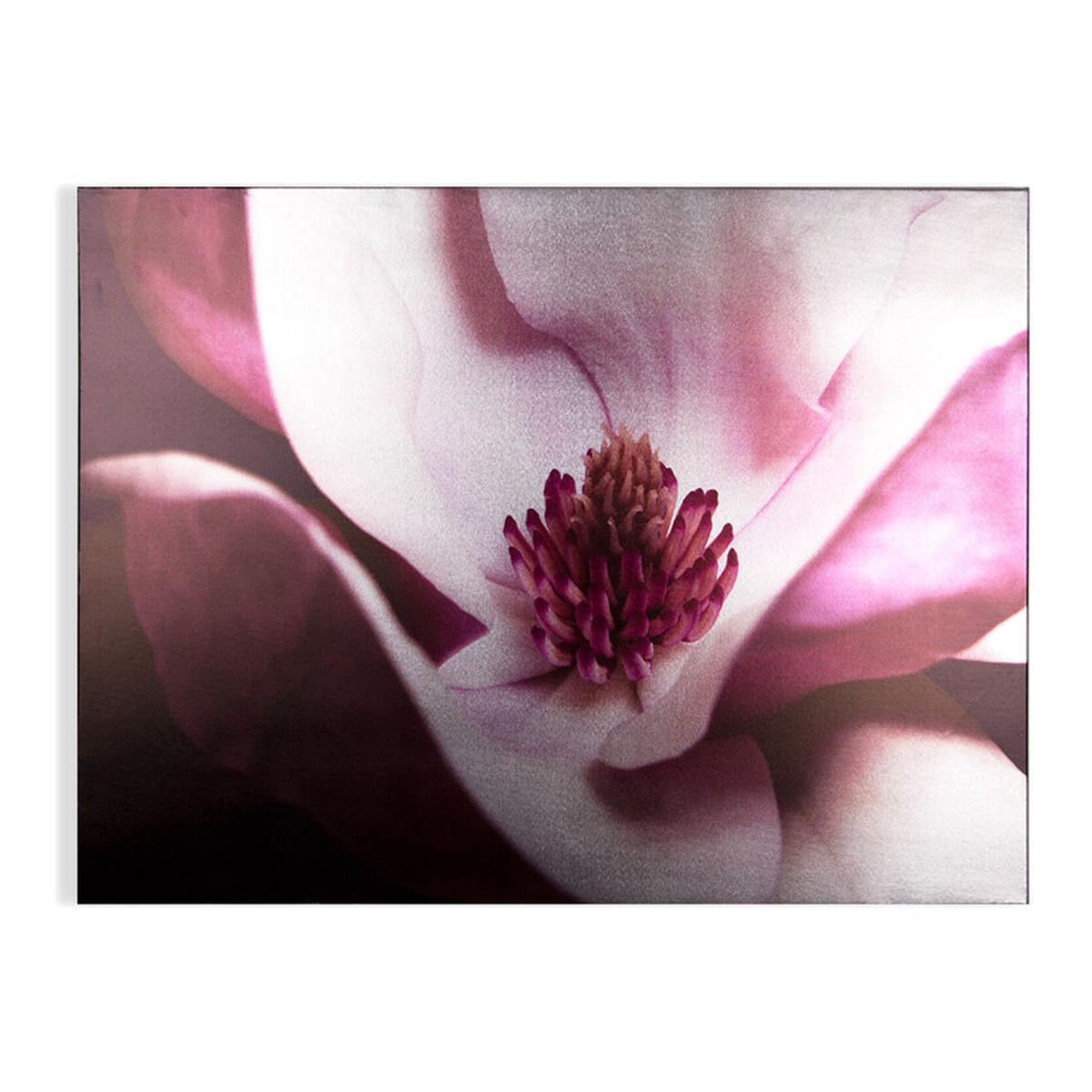 Art for the Home Blushed Tropics Set of 2 Printed Canvas - Pink