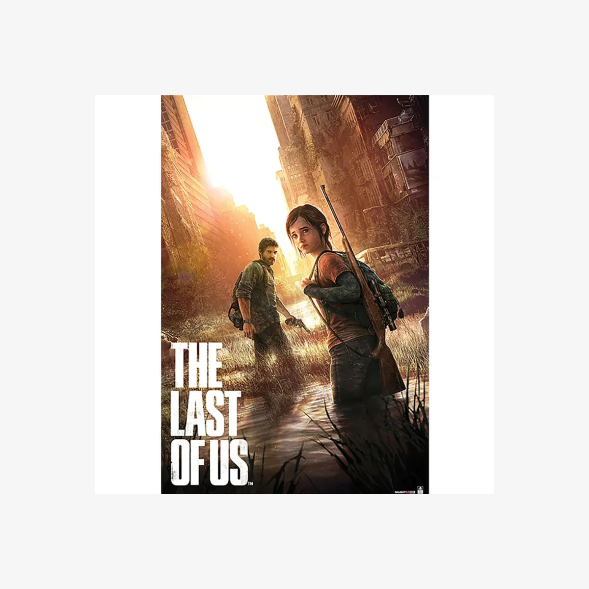 The Last Of Us Poster - Brown/Black