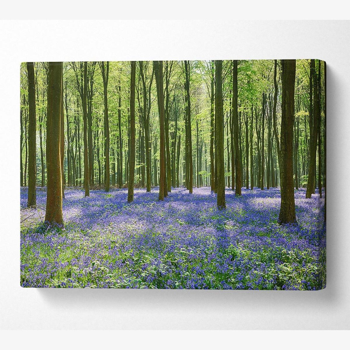 Mystical Bluebell Woodland - 50.8cm – image 1