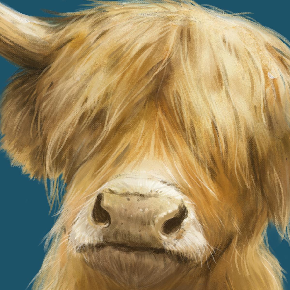 Highland Cow Turquoise Framed Wall Art Print - Black Frame - Turquoise – image 2