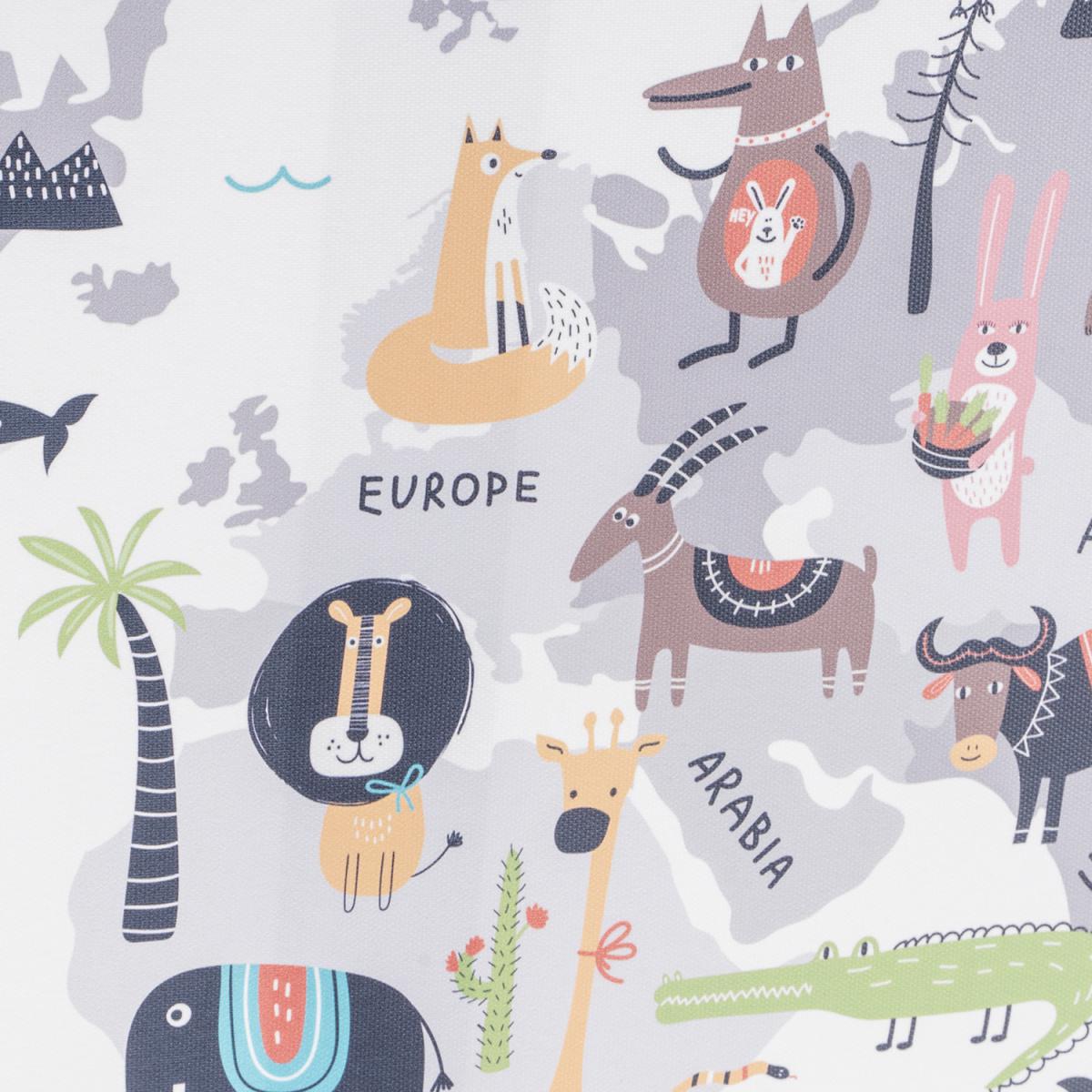 Framed Animal World Map – image 3