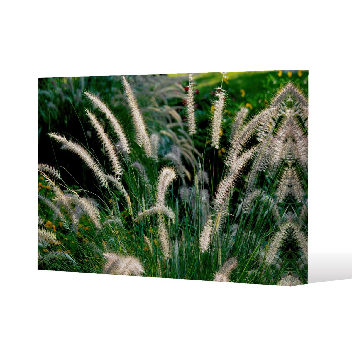 decorative cat tail grass growing along a walkway Canvas Print - Green / 127cm / 101cm – image 2