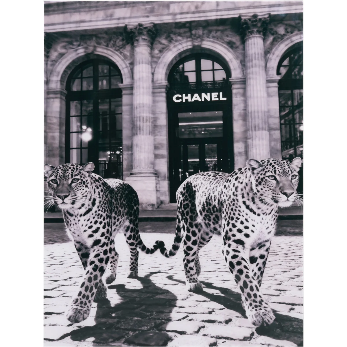 Monochrome Leopards Wall Art – image 2