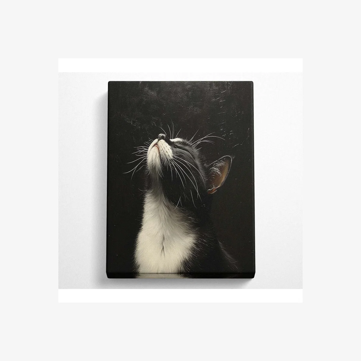 Cat Looking Up Canvas Print - Black / 101.6cm