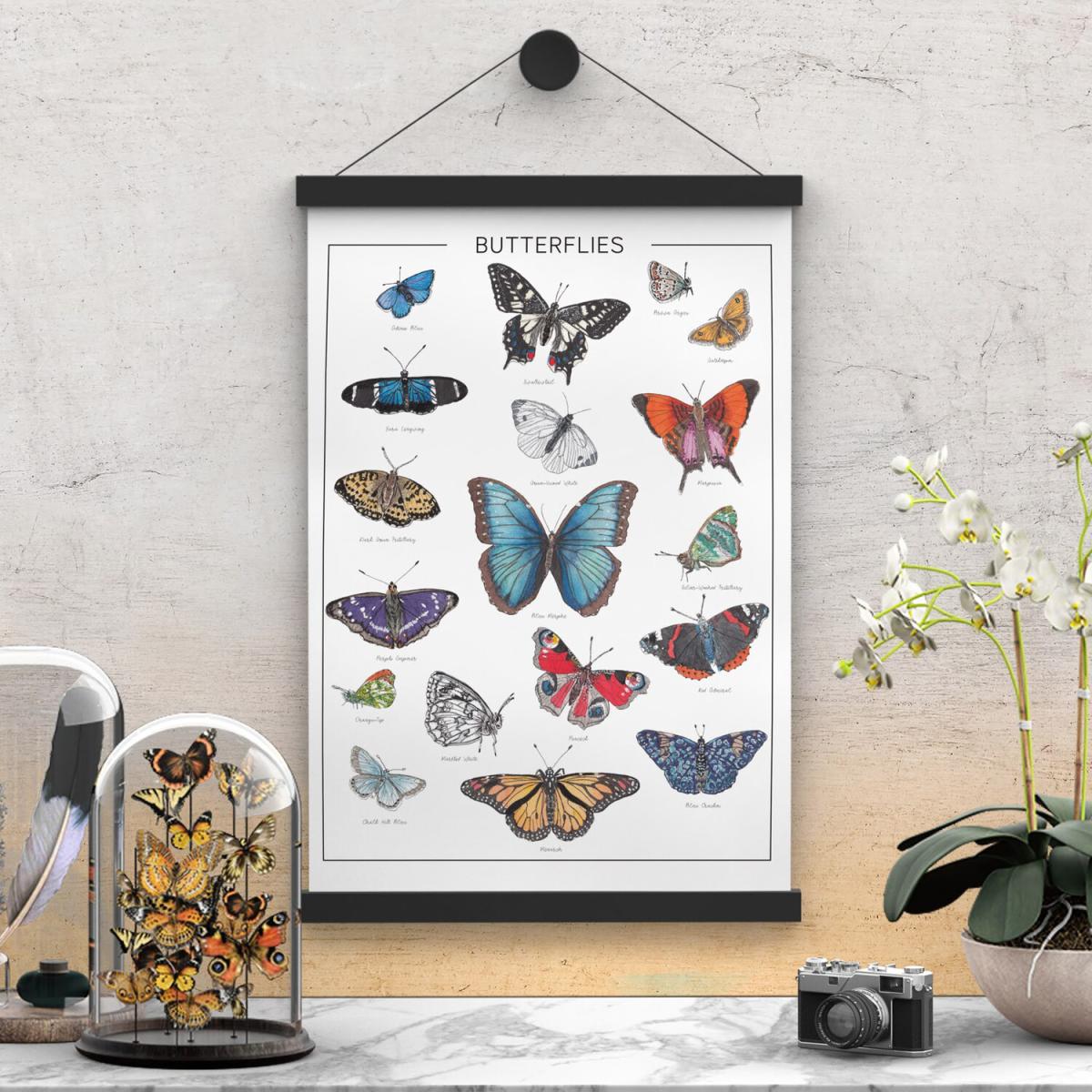 The Butterflies - A3 – image 2