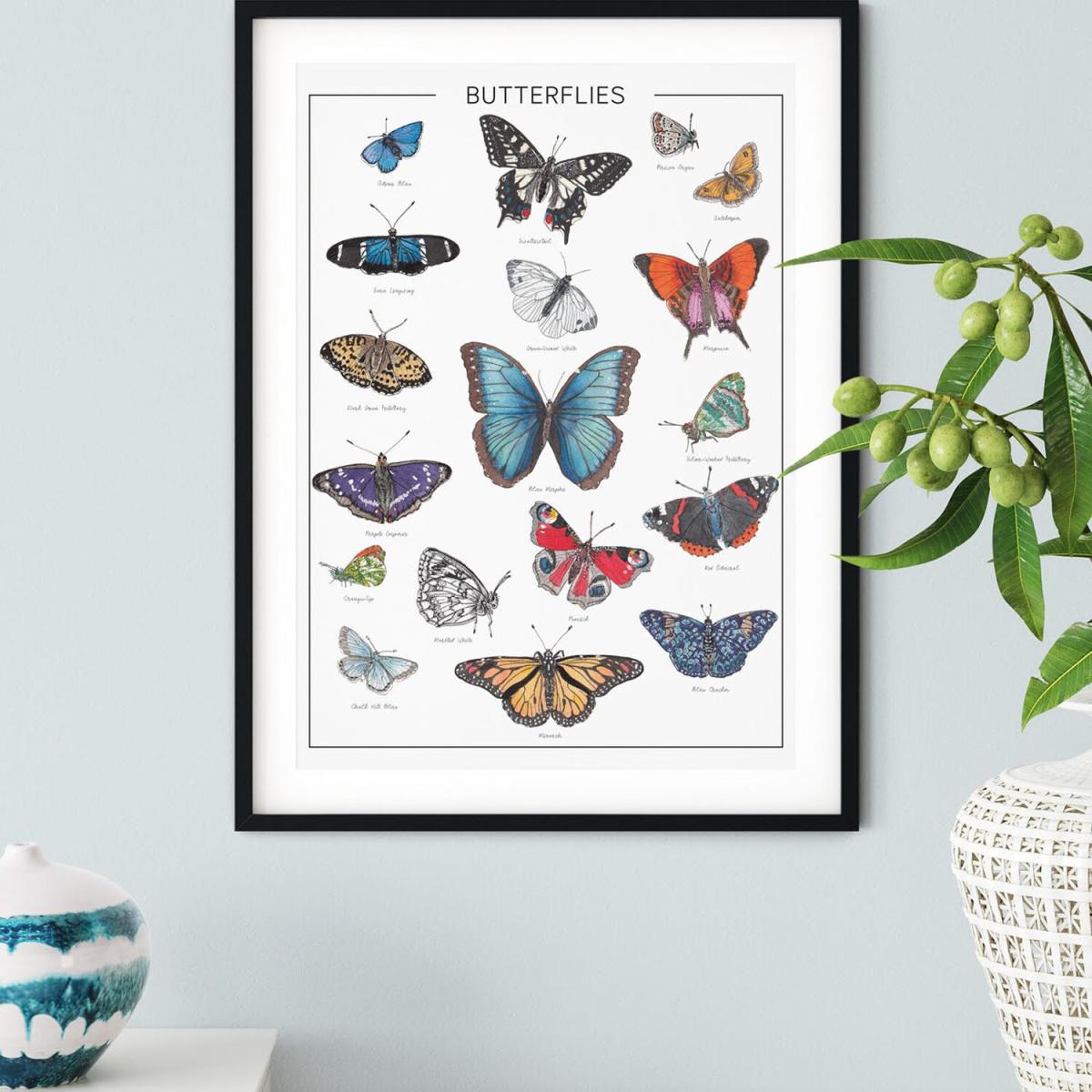 The Butterflies - A3 – image 6