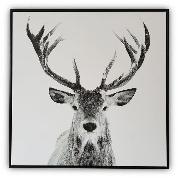 Monochrome Stag Print Canvas
