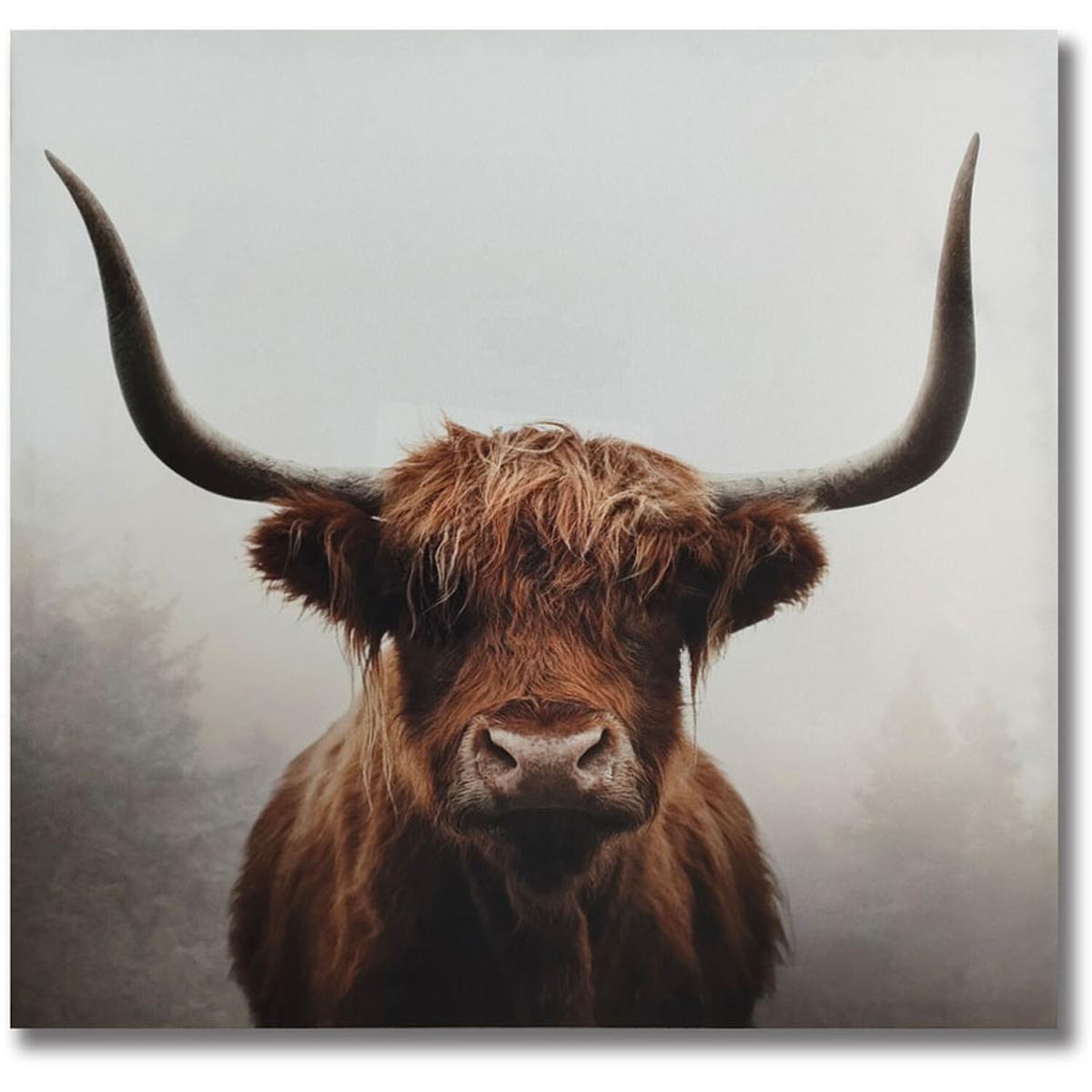 Ian Winstanley Douglas Cow Canvas