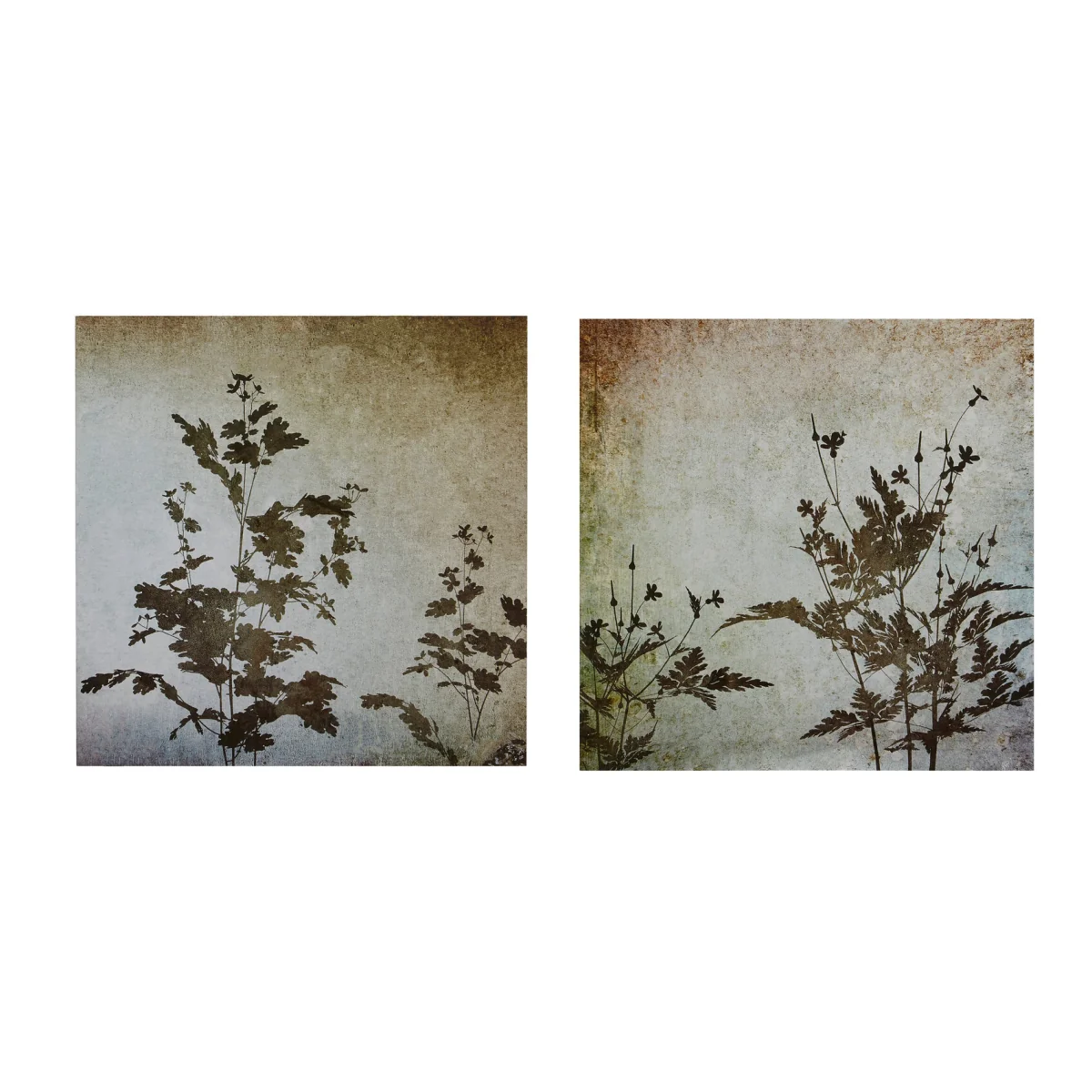 Madera Textured Florals Wall Plaques - Set of 2 - Natural