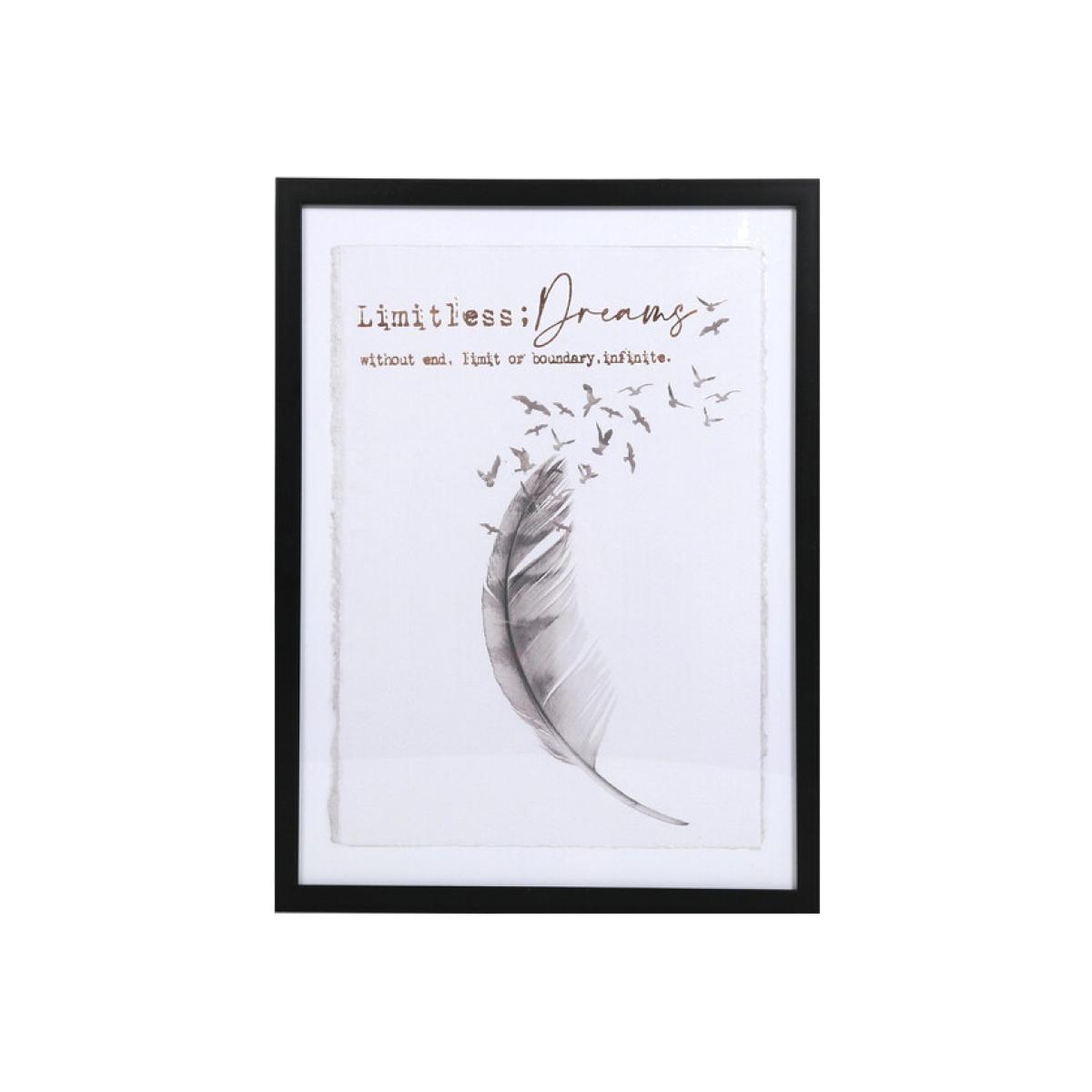 Endless Dreams Feather Foiled Framed Art - Black – image 1