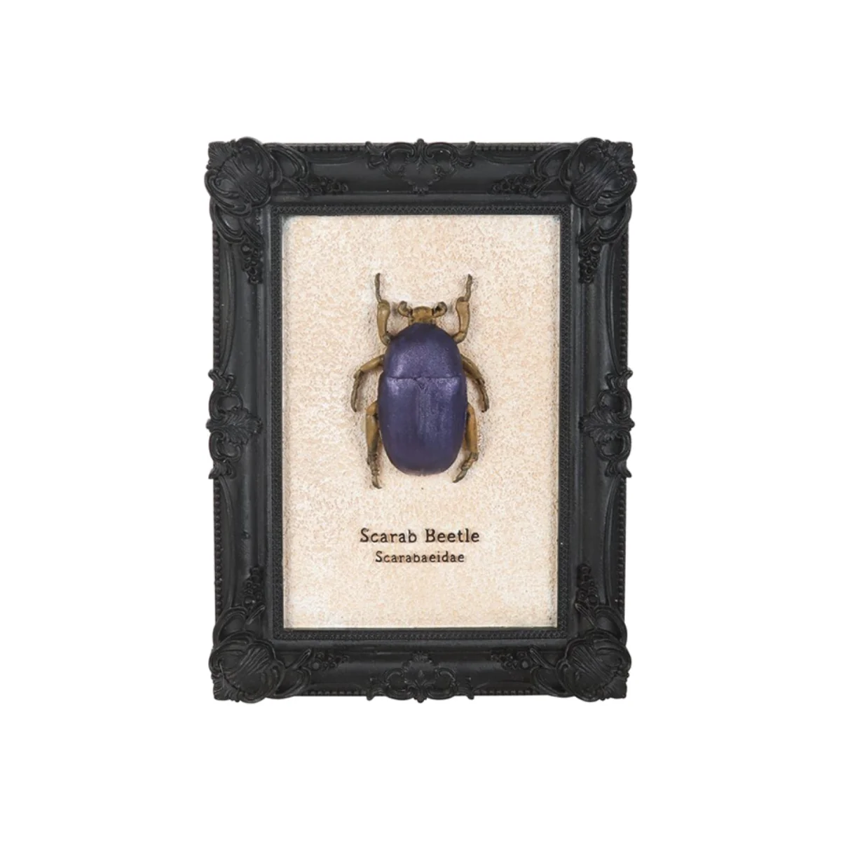 Elegant Scarab Beetle Wall Art - Gothic Frame, Transformation Decor - Purple