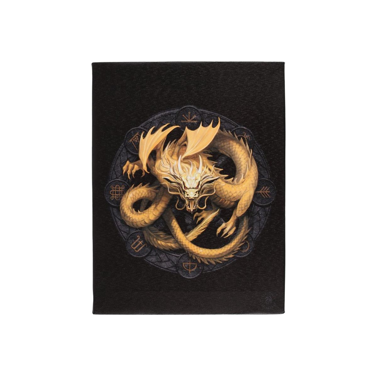 Imbolic Dragon Canvas Plaque - Multicolour