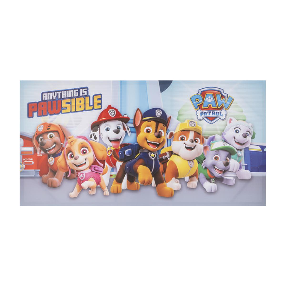 Paw Patrol Pawsible Canvas – image 1