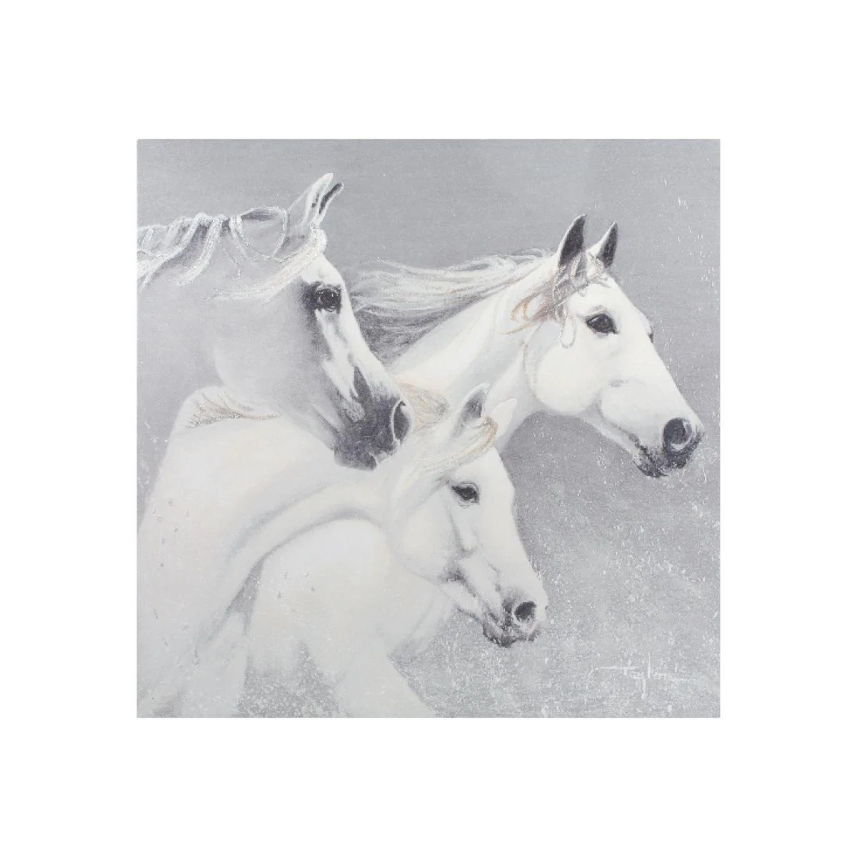 John Taylor Grey Running Horses Canvas