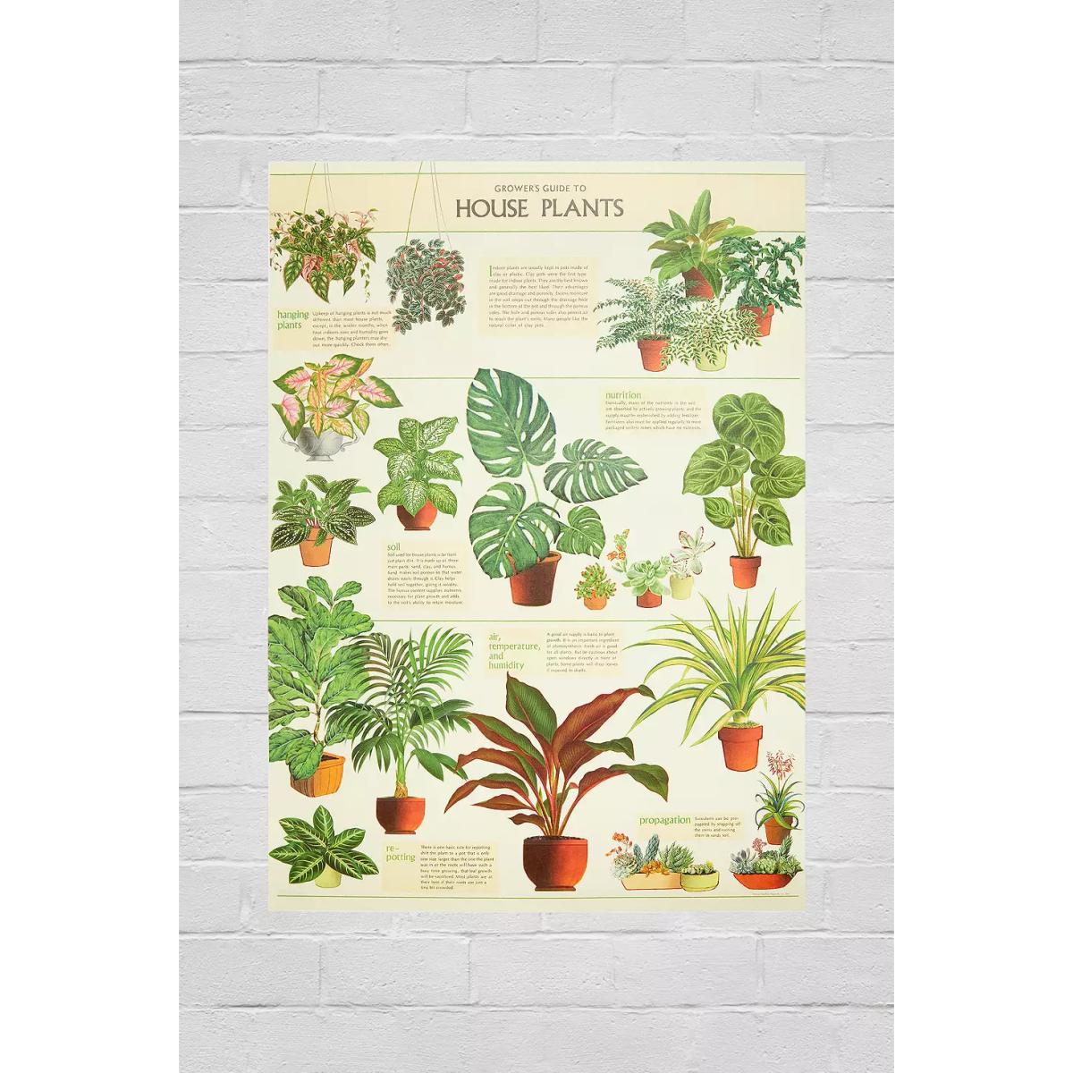 Cavallini & Co. Cavallini & Co House Plants 70x50 Poster - Green at Urban Outfitters – image 2