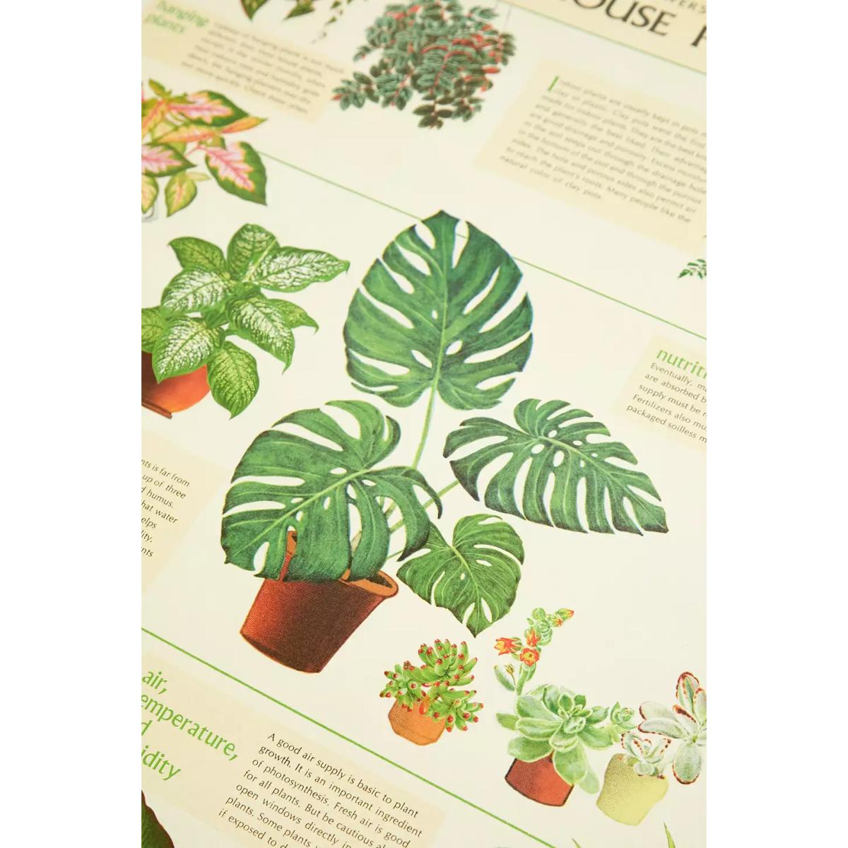 Cavallini & Co. Cavallini & Co House Plants 70x50 Poster - Green at Urban Outfitters – image 3
