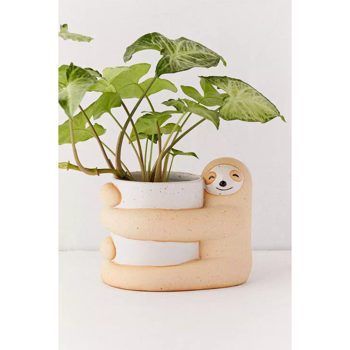 Sloth Planter - Assorted ALL at Urban Outfitters – image 2