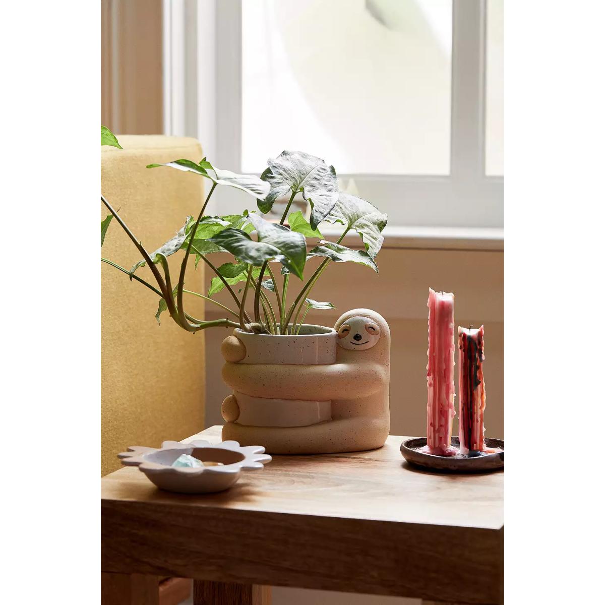 Sloth Planter - Assorted ALL at Urban Outfitters – image 4