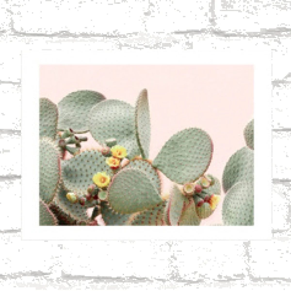 Sisi & Seb Bloom Cactus Wall Art Print - Assorted 1 at Urban Outfitters