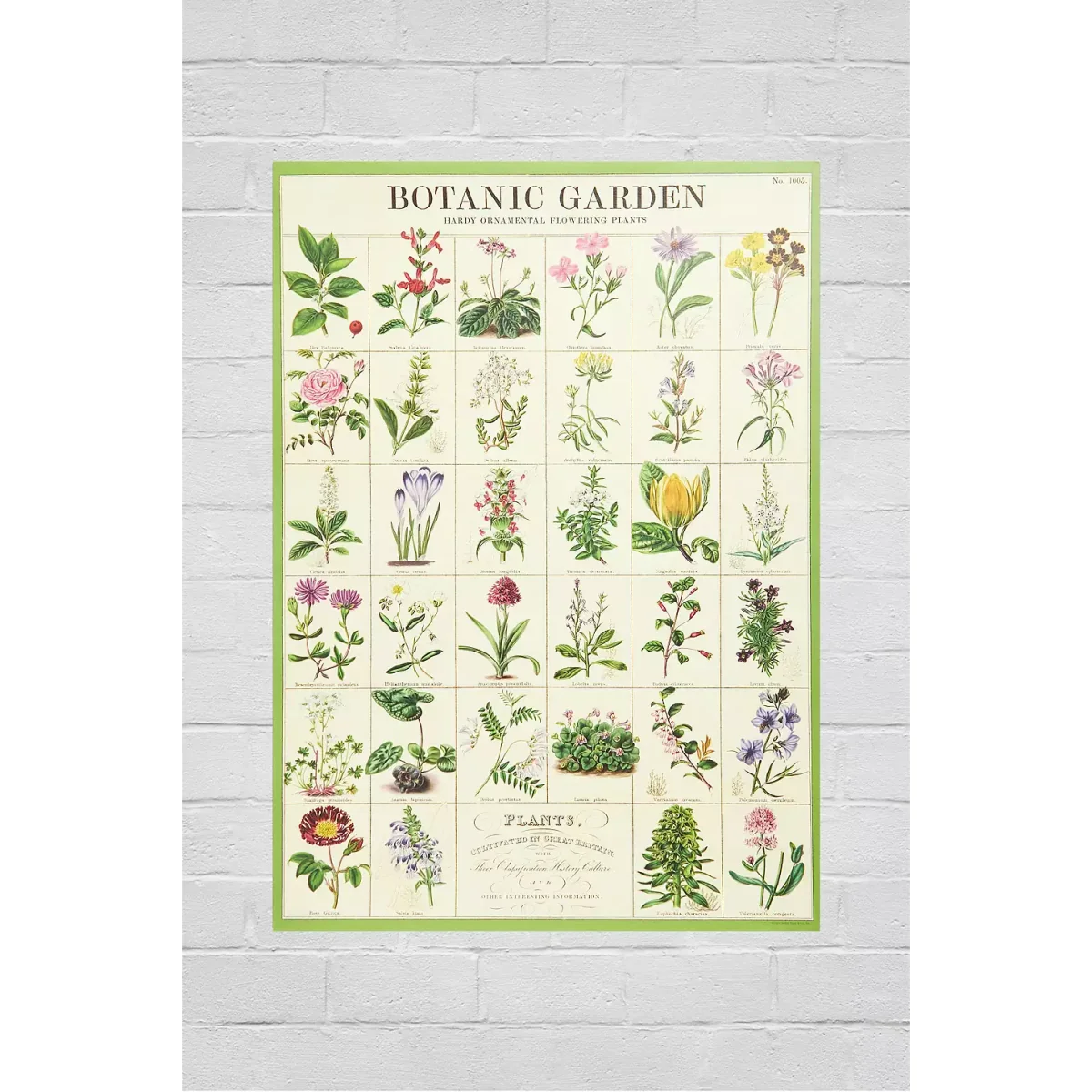 Cavallini & Co Botanical Wall Art Print - Assorted ALL at Urban Outfitters – image 2