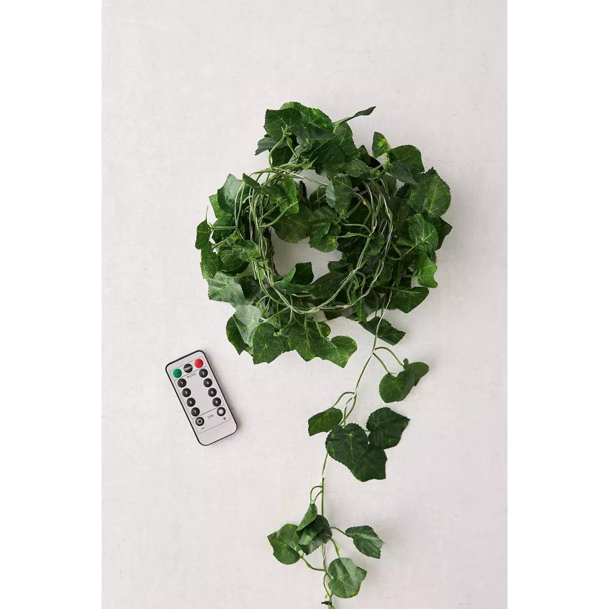 Ivy String Lights - Green ALL at Urban Outfitters – image 3