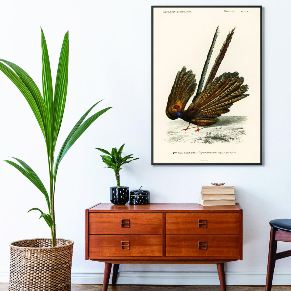 Brown Great Argus Print A3 297 X 420Mm Stanley Print House – image 3
