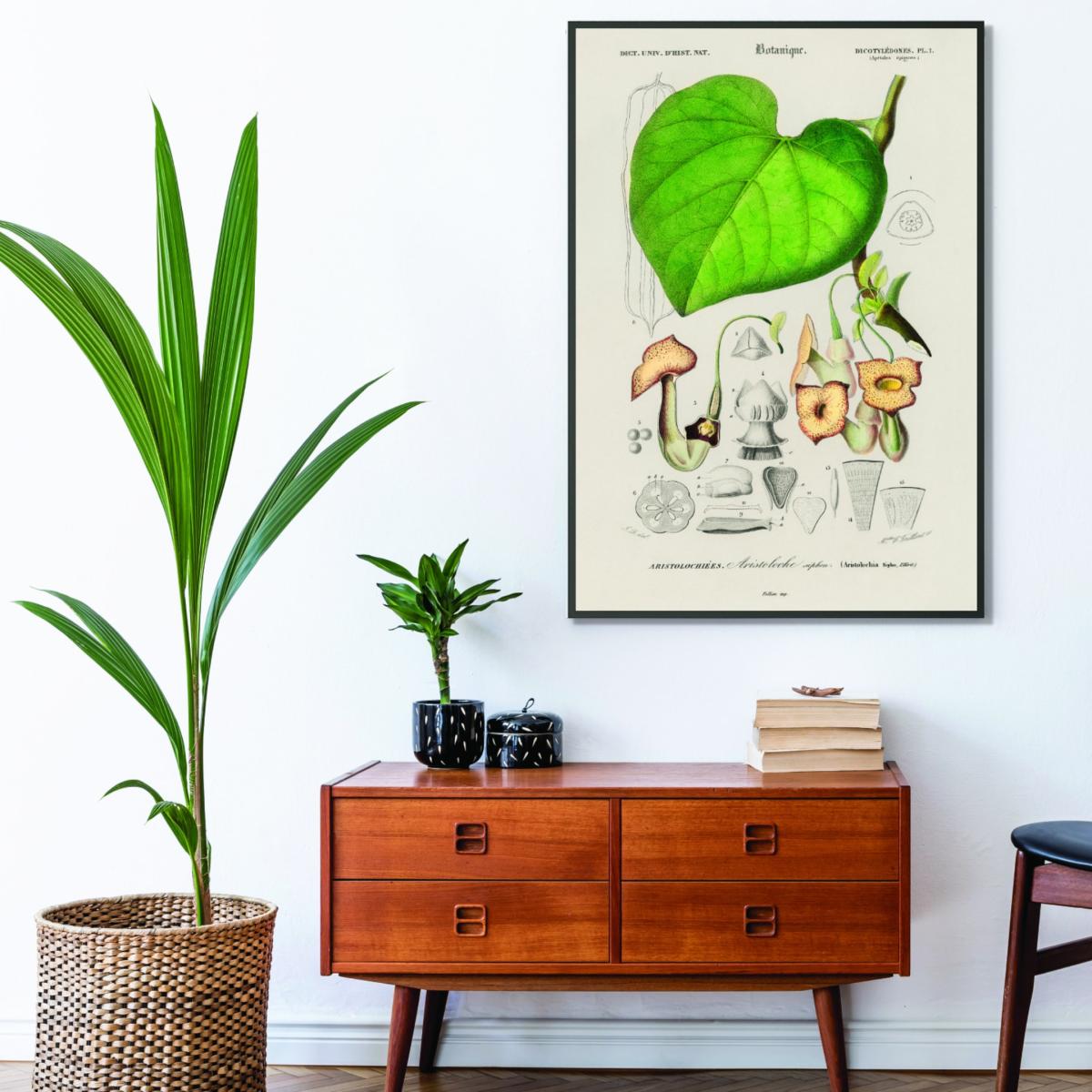 Green Pipevine Large Stanley Print House – image 3