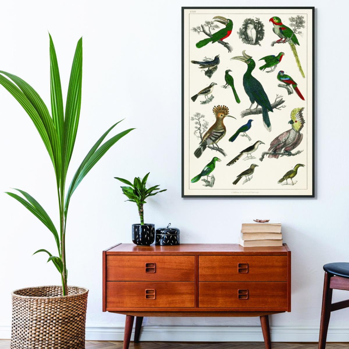 Parrots A3 297 X 420Mm Stanley Print House – image 3