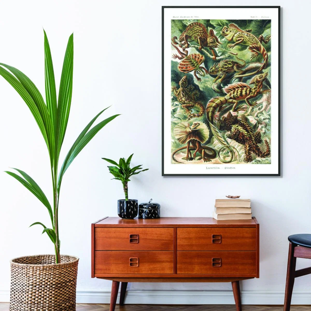 Green Lacertilia-Eidechlen By Ernst Haeckel A1 594 X 841Mm Stanley Print House – image 3