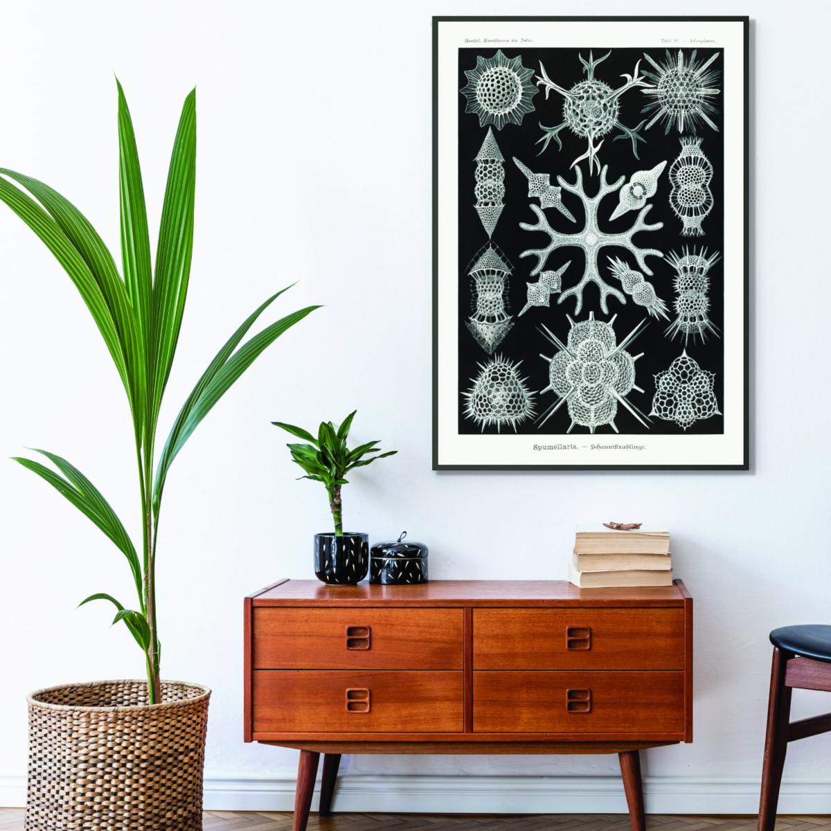 Grey Spumellaria-Schaumstrahlinge By Ernst Haeckel Extra Small Stanley Print House – image 3