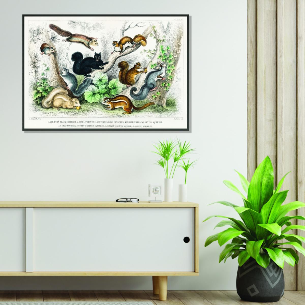 Various Squirrels Large Stanley Print House – image 3