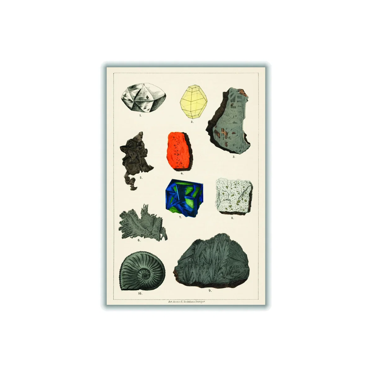 Colorful Gemstones Medium Stanley Print House – image 1
