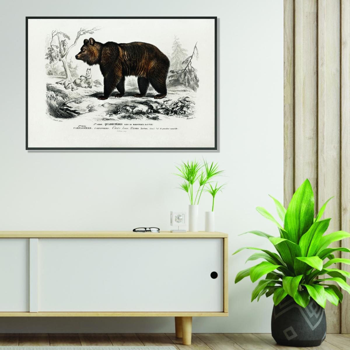 Brown Bear Large Stanley Print House – image 3
