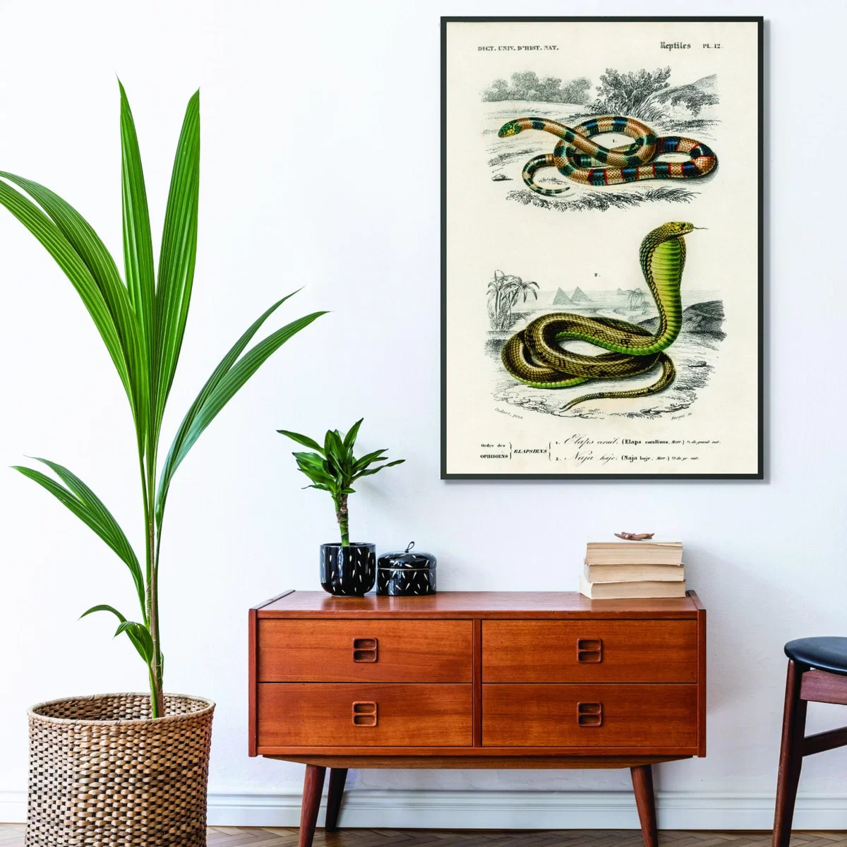 Green Coral Snake And Egyptian Cobra A1 594 X 841Mm Stanley Print House – image 3
