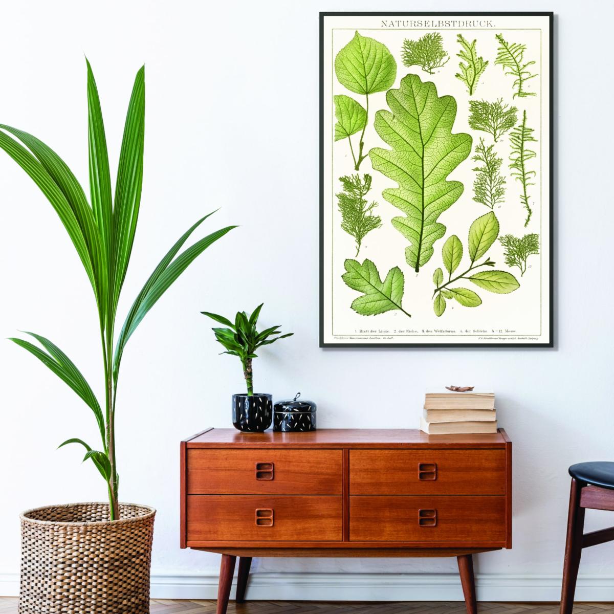 Green Various Leaves Large Stanley Print House – image 3