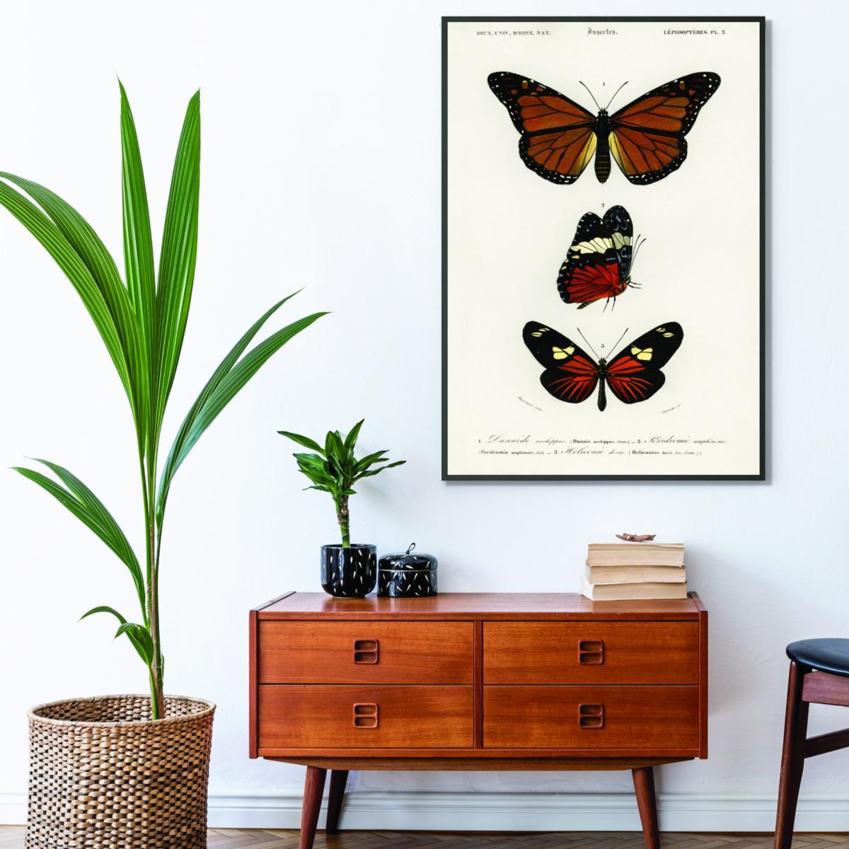 Brown Natural History Different Types Of Butterfly 5 A1 594 X 841Mm Stanley Print House – image 3