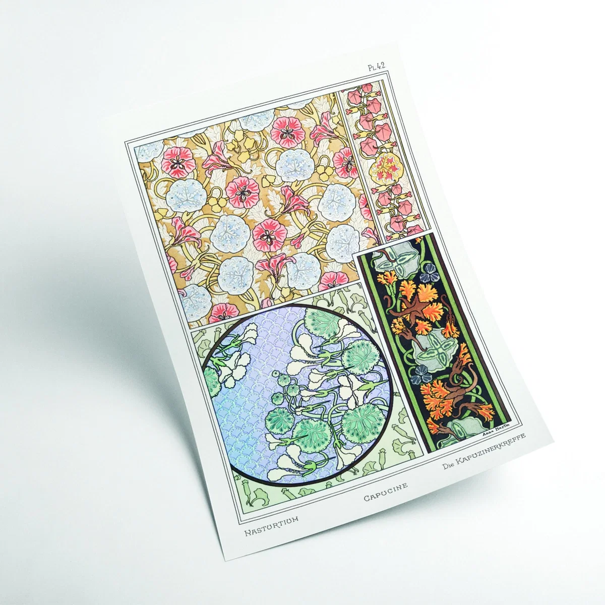 Vintage Botanicals - Capucine Nasturtium Iiii Extra Small Stanley Print House – image 2
