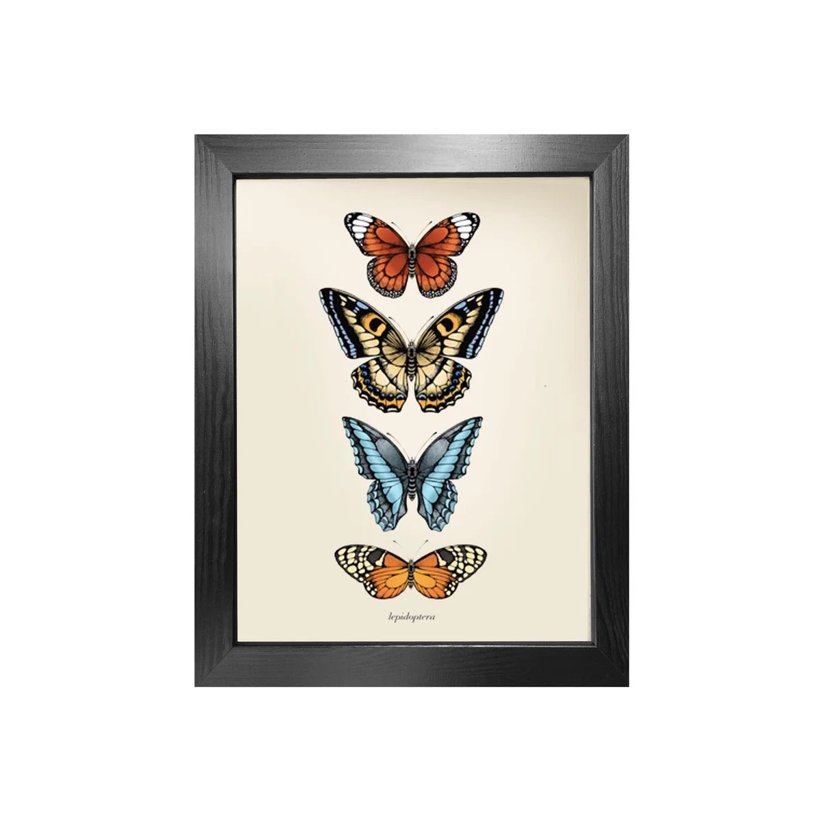Antique Tropical Butterflies Iii' Fine Art Print A5 Emily Carter