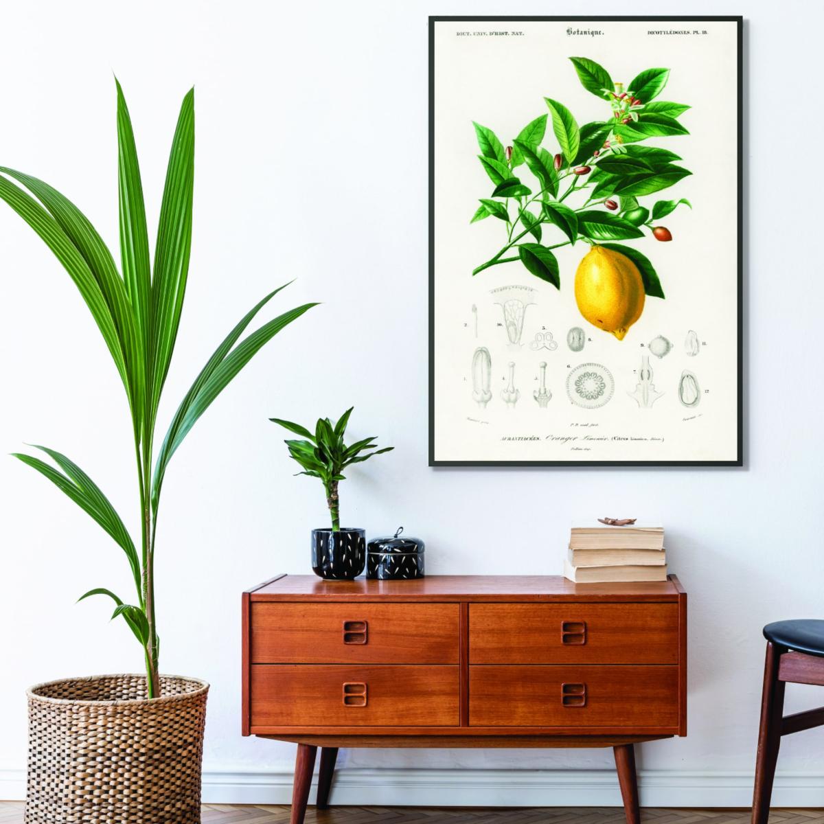 Lemon Illustration A2 420 X 594Mm Stanley Print House – image 3