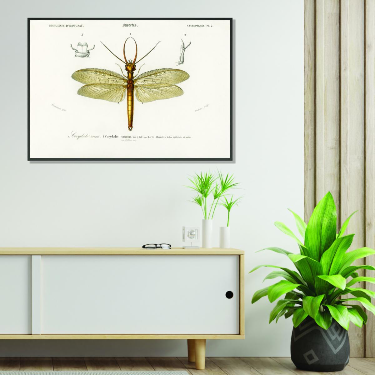 Green Eastern Dobsonfly A2 420 X 594Mm Stanley Print House – image 3