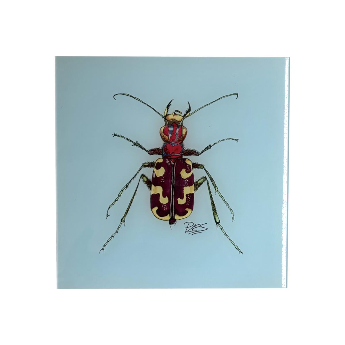 Brown Painting Beach Sand Beetle Blue Background Catchii – image 1