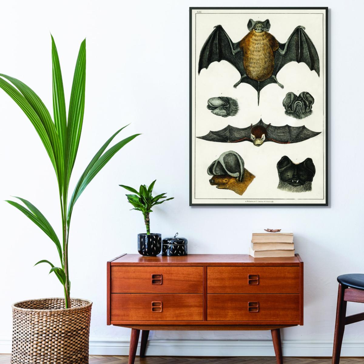 Brown Collection Of Bats Ii Xxs Stanley Print House – image 3