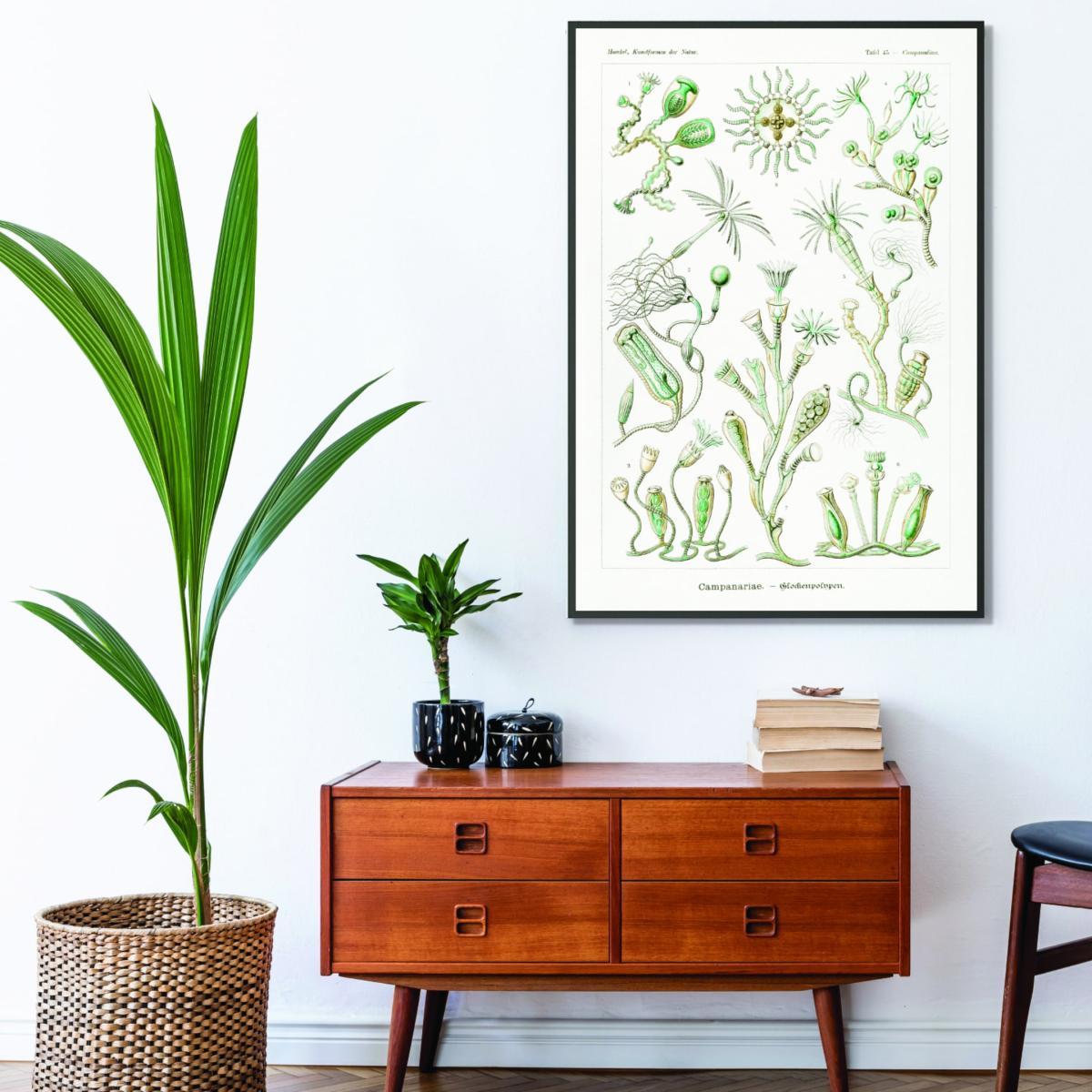 Green Campanariae-Glockenpolnpen By Ernst Haeckel A4 210 X 297Mm Stanley Print House – image 3