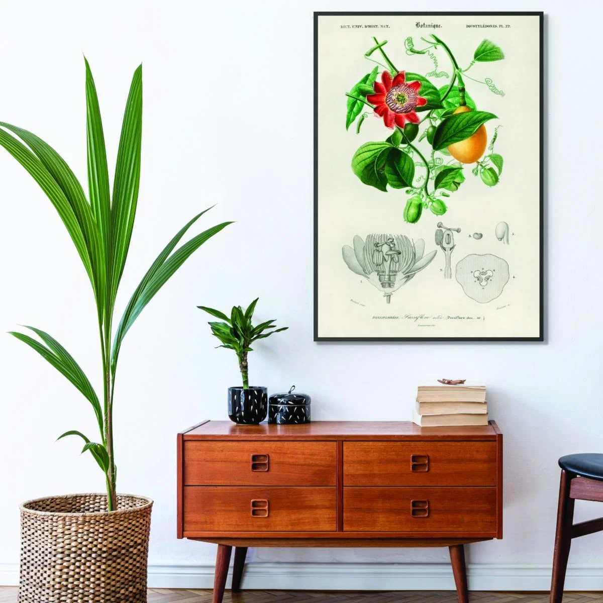 Green Passiflore Ailee Small Stanley Print House – image 3