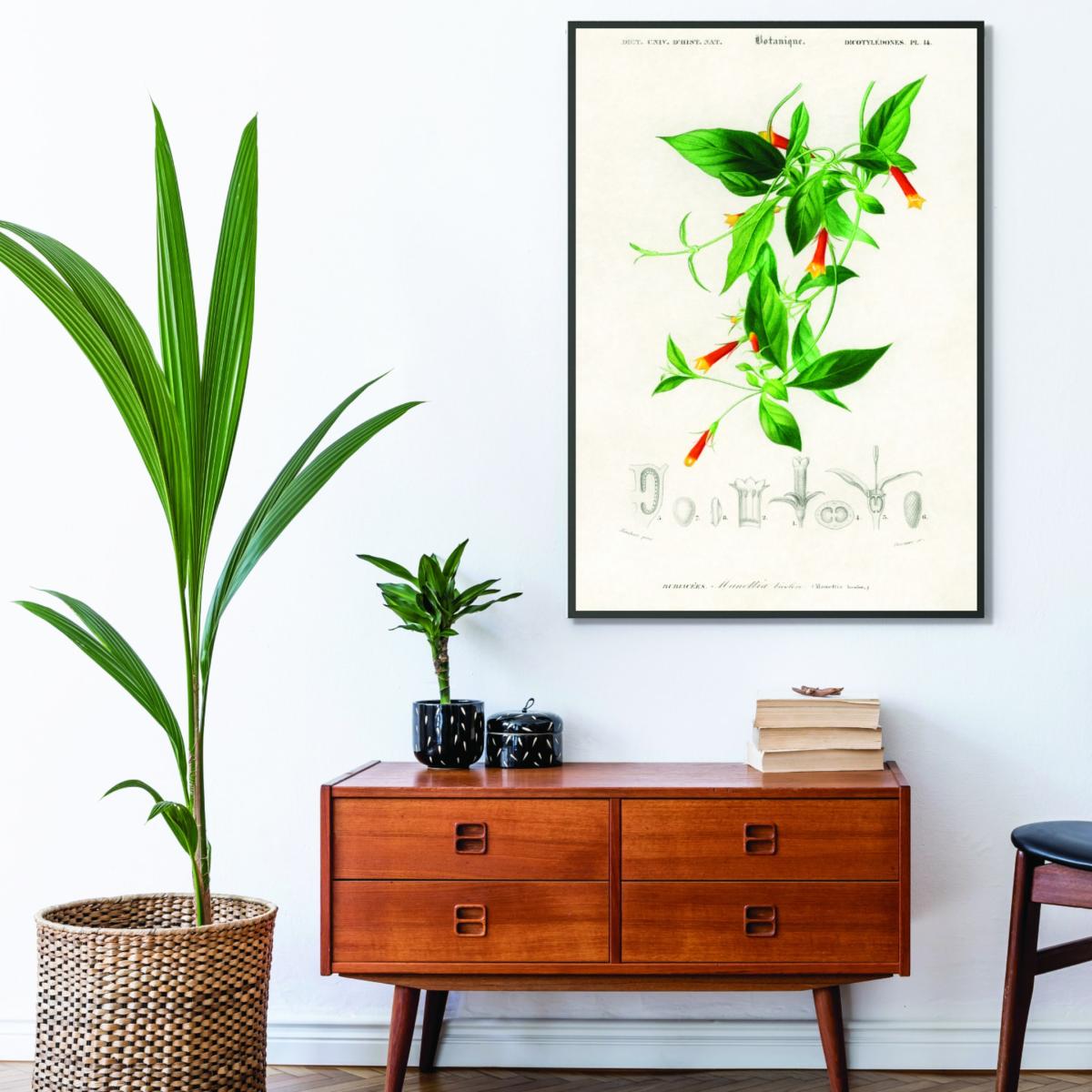 Candy Corn Vine Print - Green A2 420 X 594Mm Stanley Print House – image 3