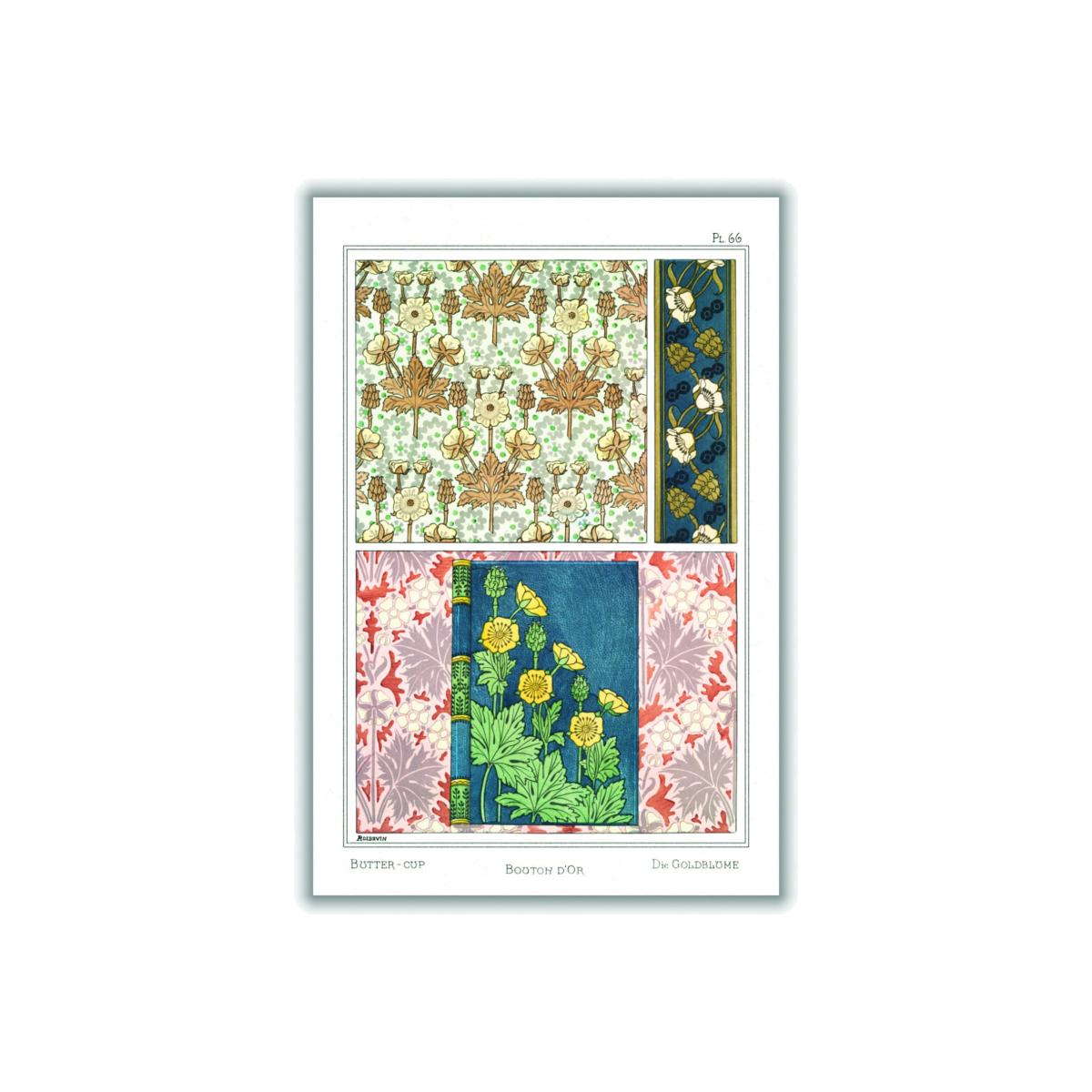 Vintage Botanicals - Buttercup Ii A3 297 X 420Mm Stanley Print House – image 1
