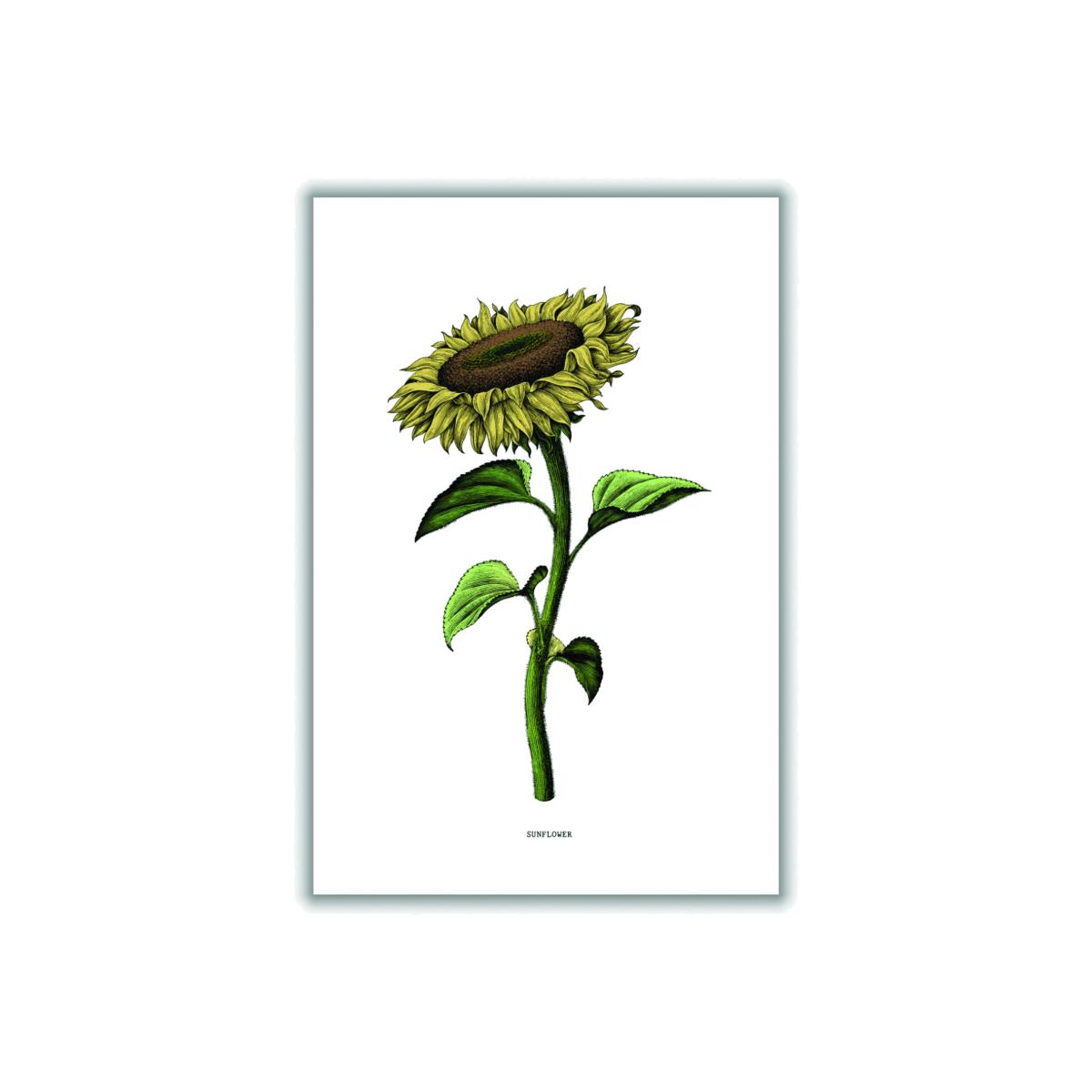 Green Sunflowers For President A3 297 X 420Mm Stanley Print House – image 1