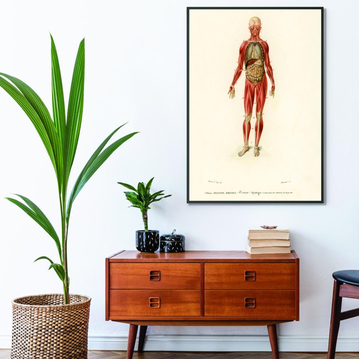 Red Human Body A1 594 X 841Mm Stanley Print House – image 3